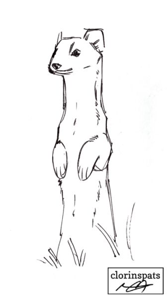 File:91-42.jpg